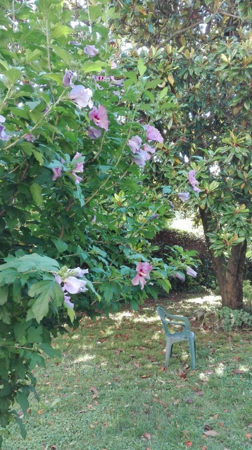 B&B Da Miriam Castelnuovo del Garda Dış mekan fotoğraf