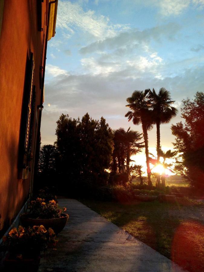 B&B Da Miriam Castelnuovo del Garda Dış mekan fotoğraf