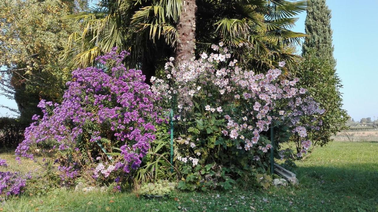 B&B Da Miriam Castelnuovo del Garda Dış mekan fotoğraf